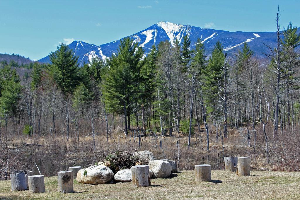 Esther Mountain Chalet Villa Wilmington Bagian luar foto