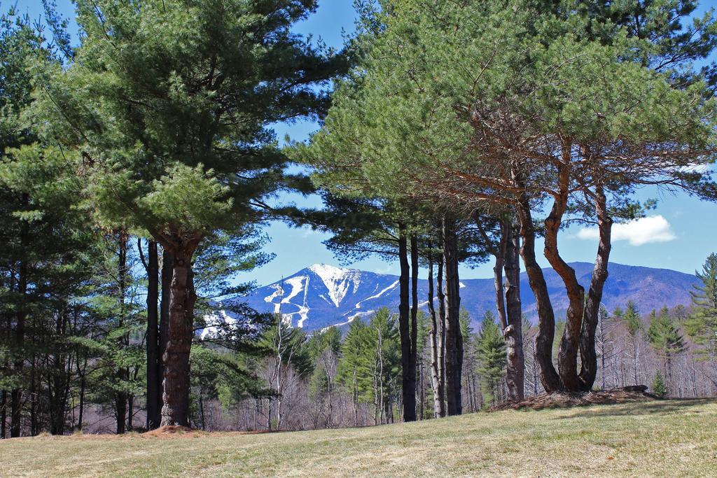 Esther Mountain Chalet Villa Wilmington Bagian luar foto